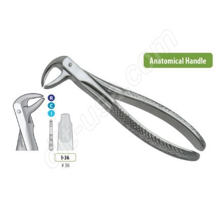 TOOTH FORCEPS, INCISORS, PREMOLARS RIGHT..
