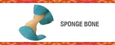 Sponge Bone